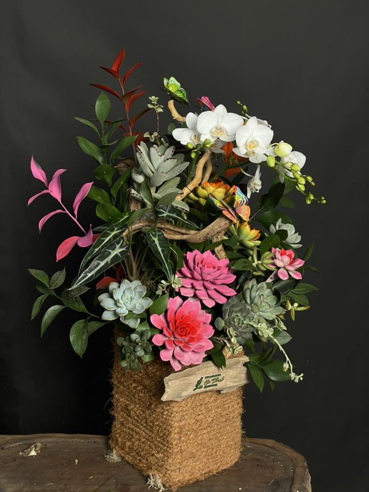 Kệ Hoa Lan Hồ Điệp – 9 Cành Trắng